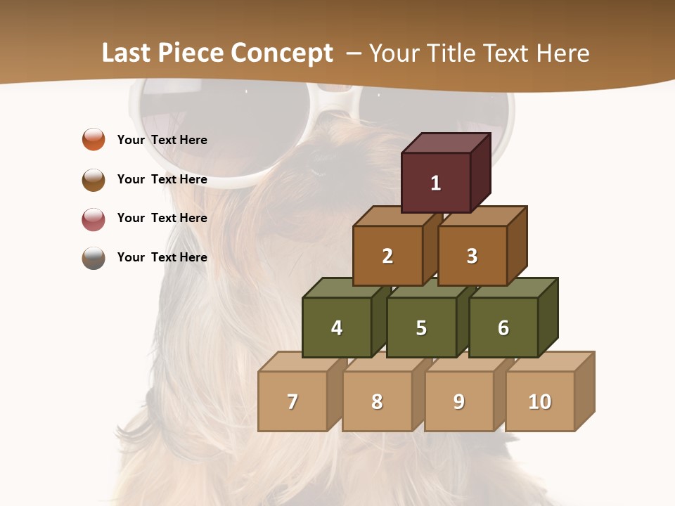 Close Up Nobody Dog PowerPoint Template
