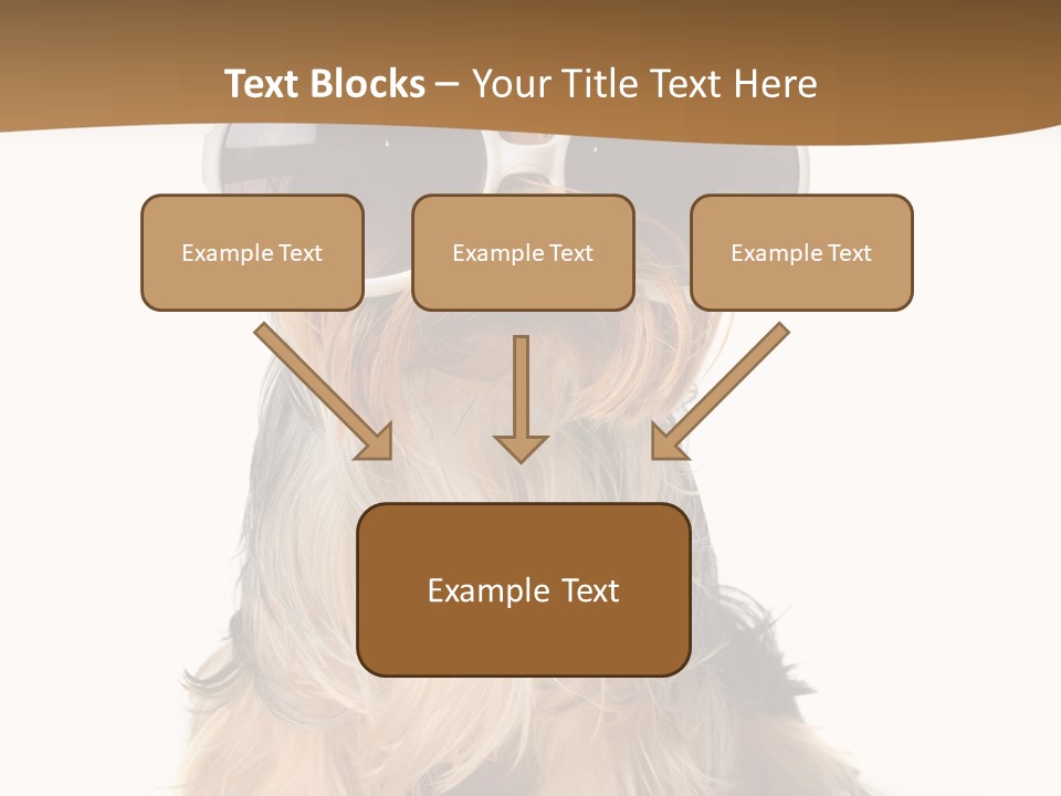Close Up Nobody Dog PowerPoint Template