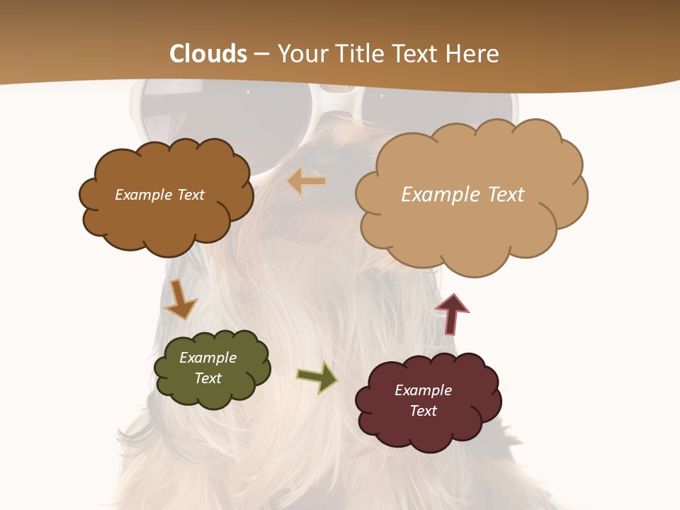 Close Up Nobody Dog PowerPoint Template