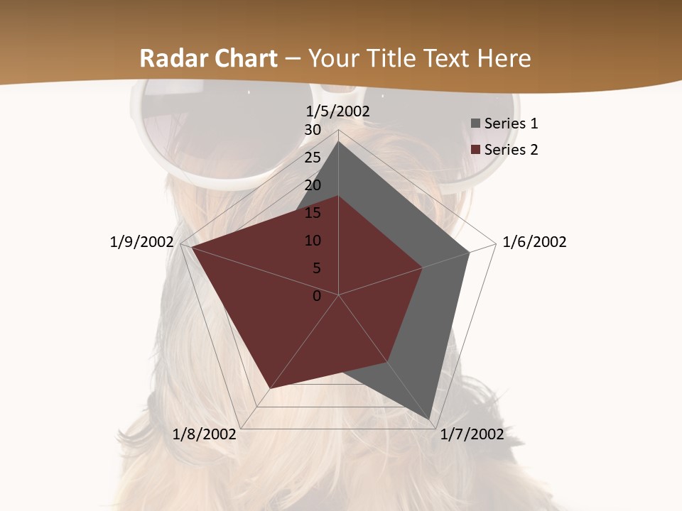 Close Up Nobody Dog PowerPoint Template