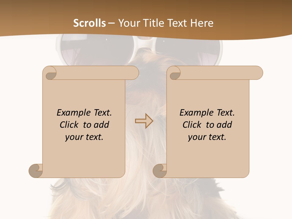 Close Up Nobody Dog PowerPoint Template