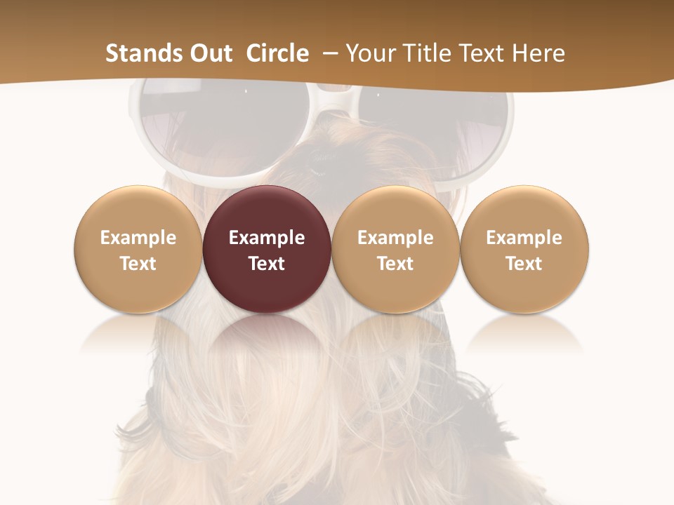 Close Up Nobody Dog PowerPoint Template