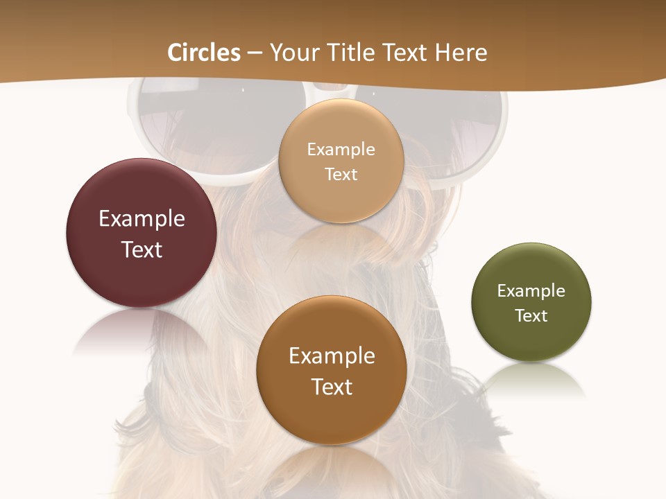 Close Up Nobody Dog PowerPoint Template