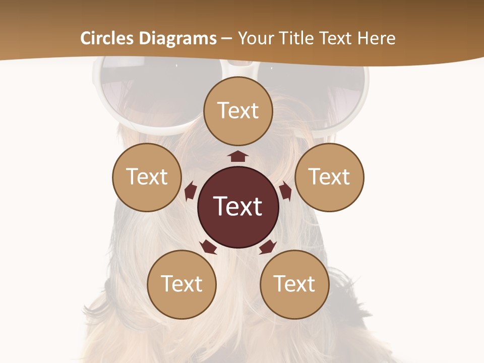 Close Up Nobody Dog PowerPoint Template