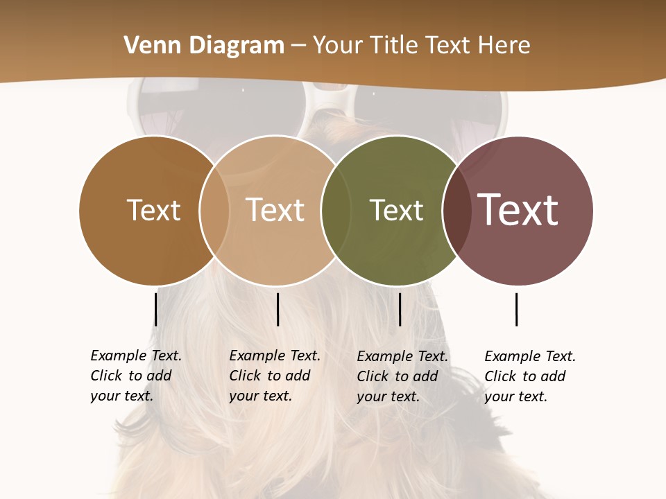 Close Up Nobody Dog PowerPoint Template