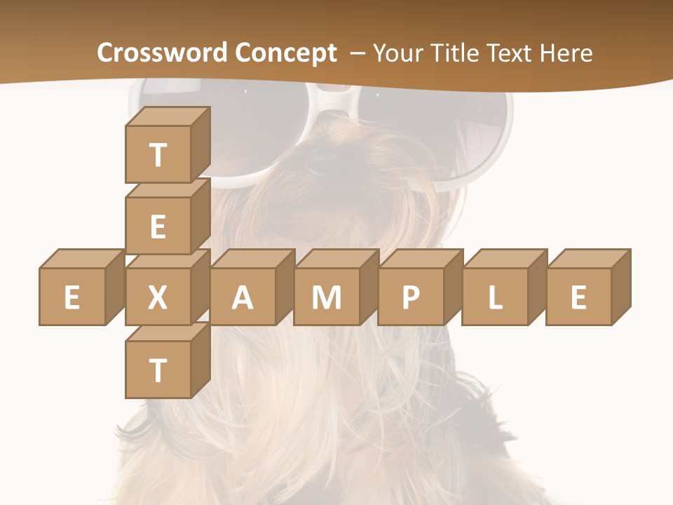 Close Up Nobody Dog PowerPoint Template