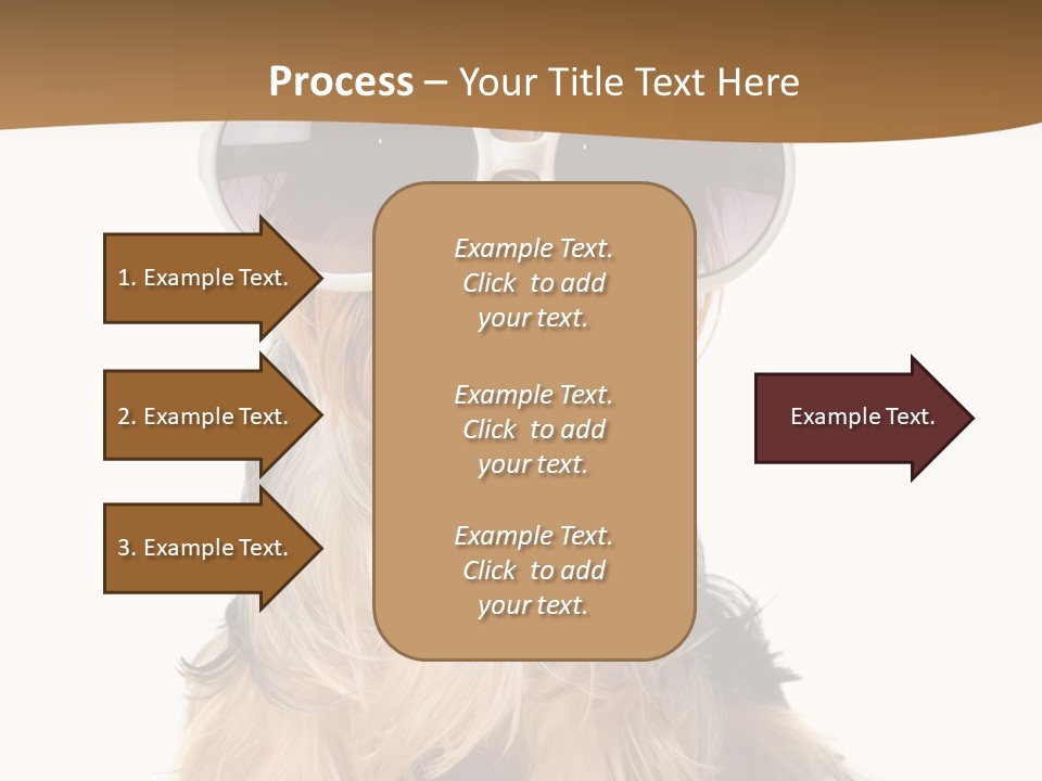 Close Up Nobody Dog PowerPoint Template