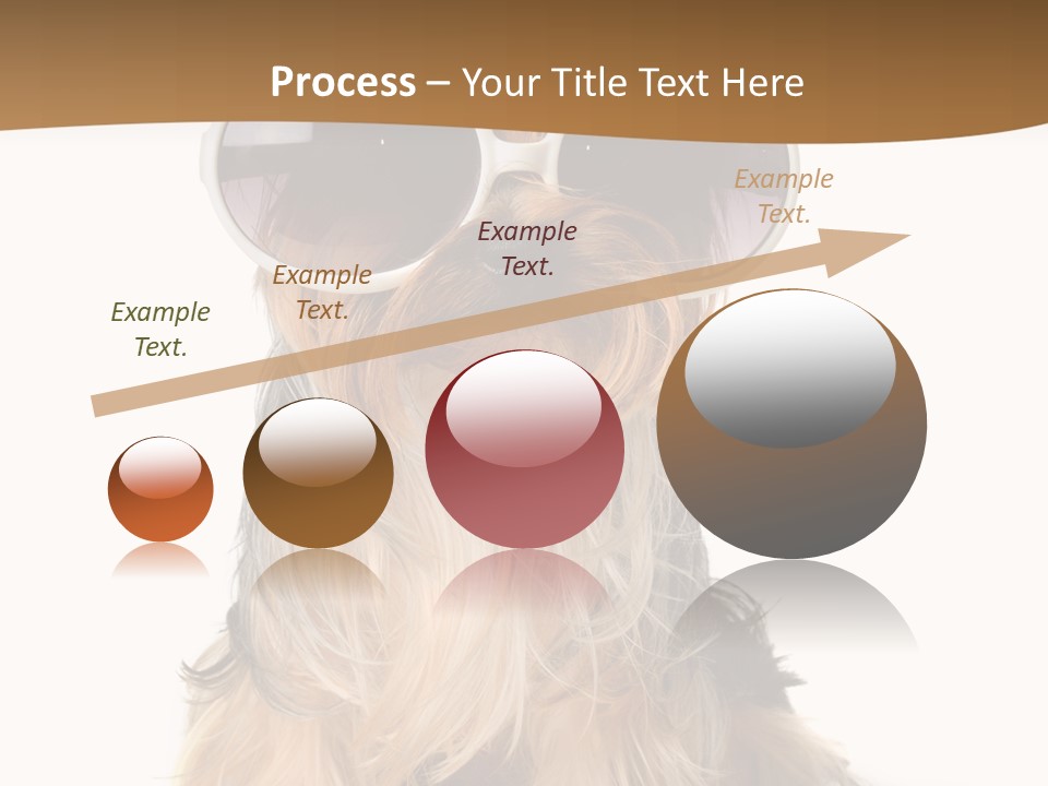 Close Up Nobody Dog PowerPoint Template