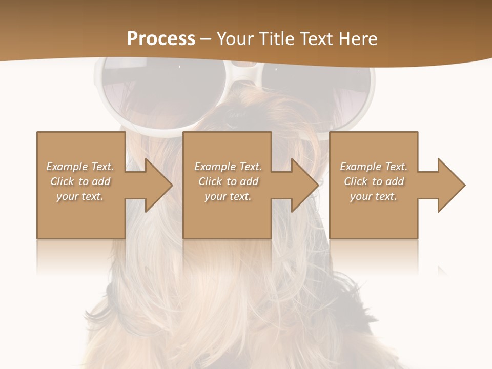 Close Up Nobody Dog PowerPoint Template