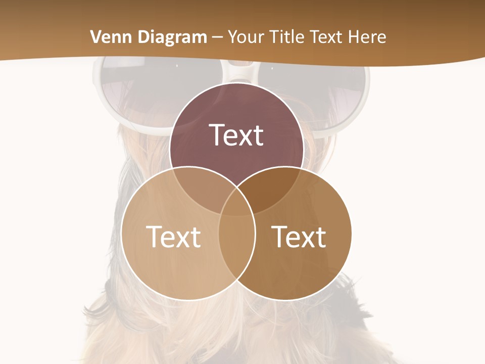 Close Up Nobody Dog PowerPoint Template