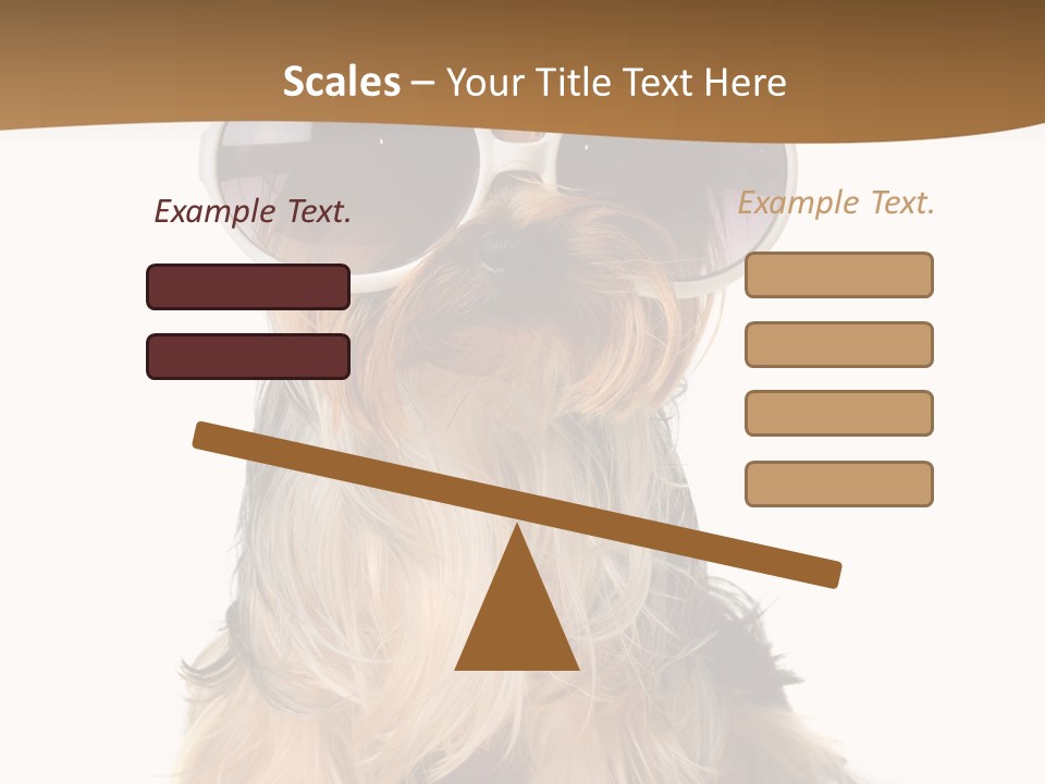 Close Up Nobody Dog PowerPoint Template