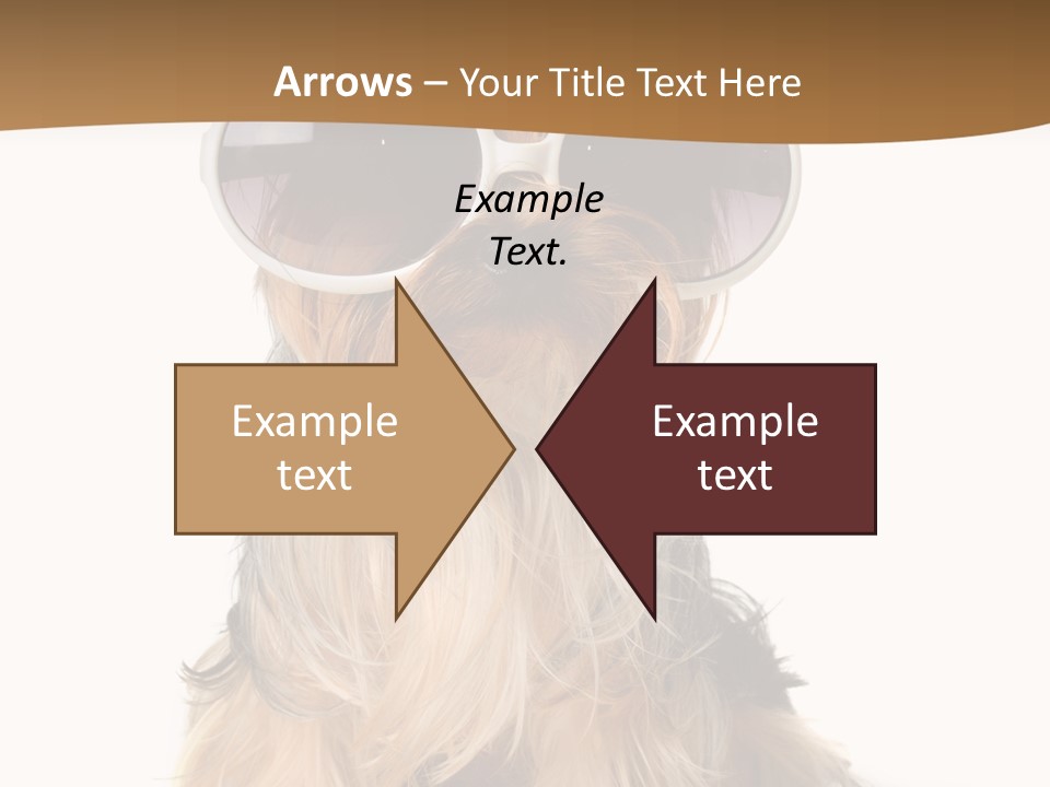 Close Up Nobody Dog PowerPoint Template