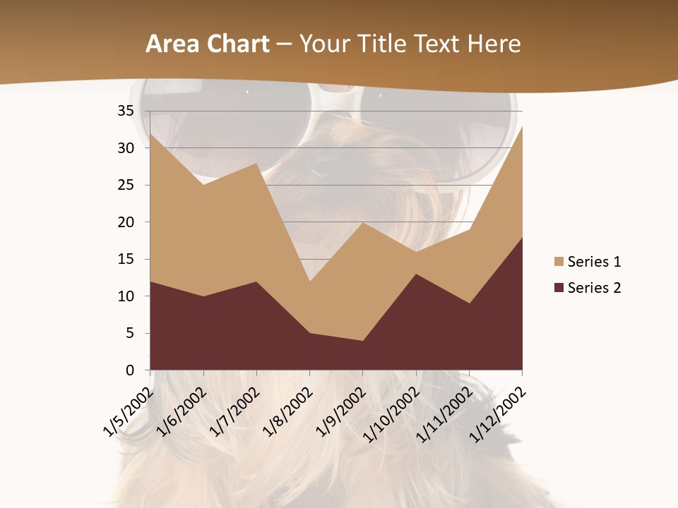 Close Up Nobody Dog PowerPoint Template