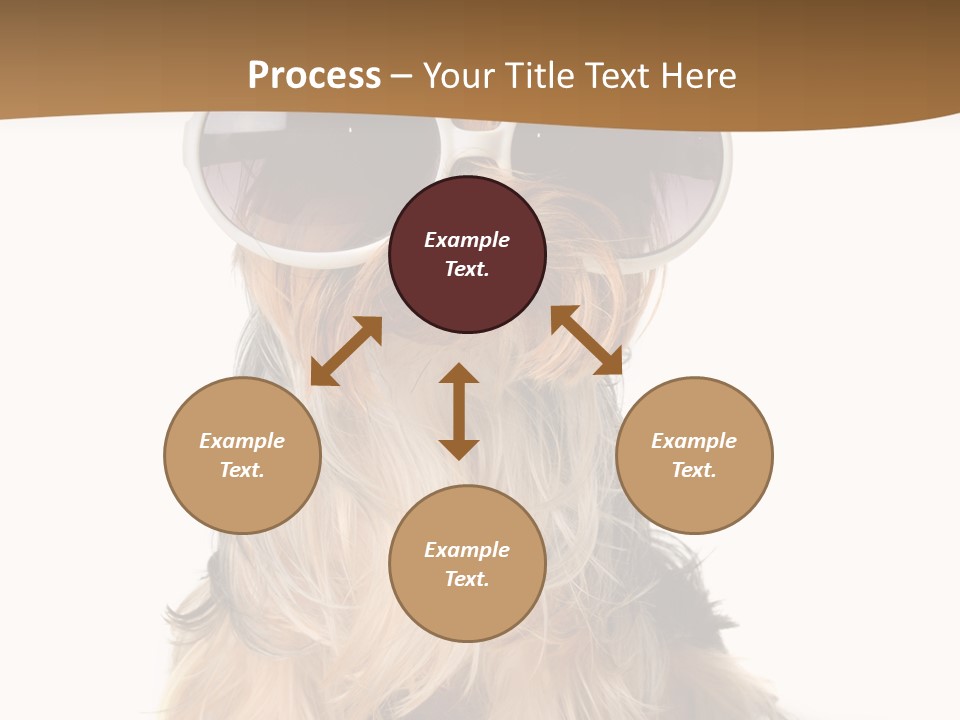 Close Up Nobody Dog PowerPoint Template