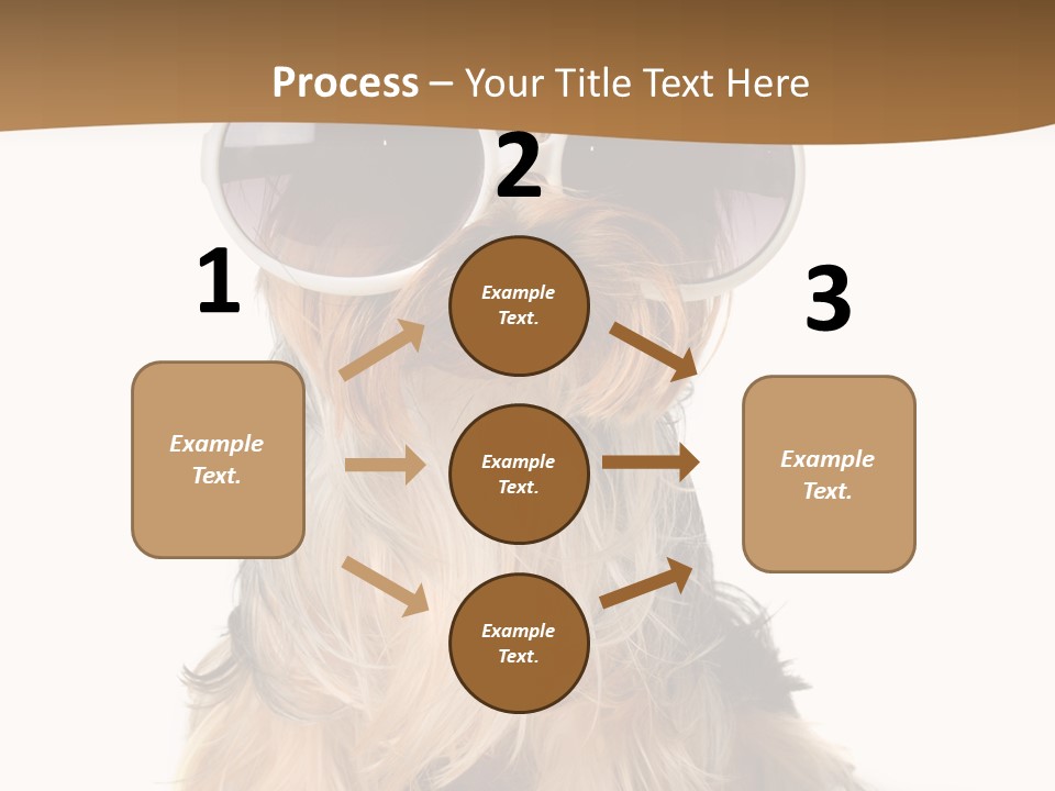 Close Up Nobody Dog PowerPoint Template