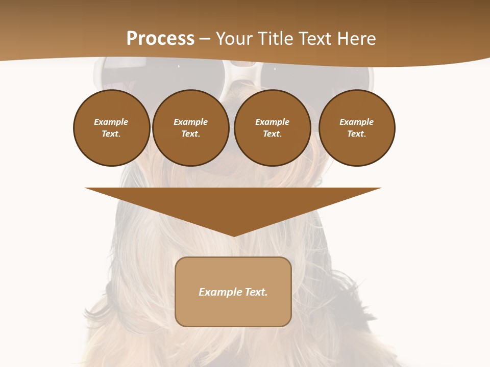 Close Up Nobody Dog PowerPoint Template