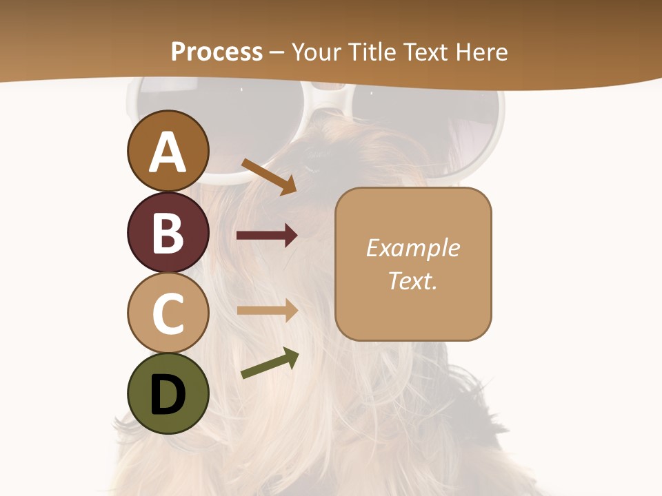Close Up Nobody Dog PowerPoint Template