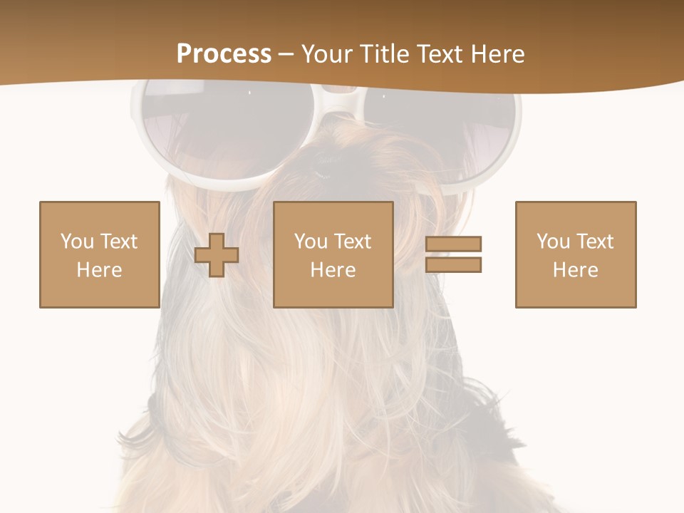 Close Up Nobody Dog PowerPoint Template