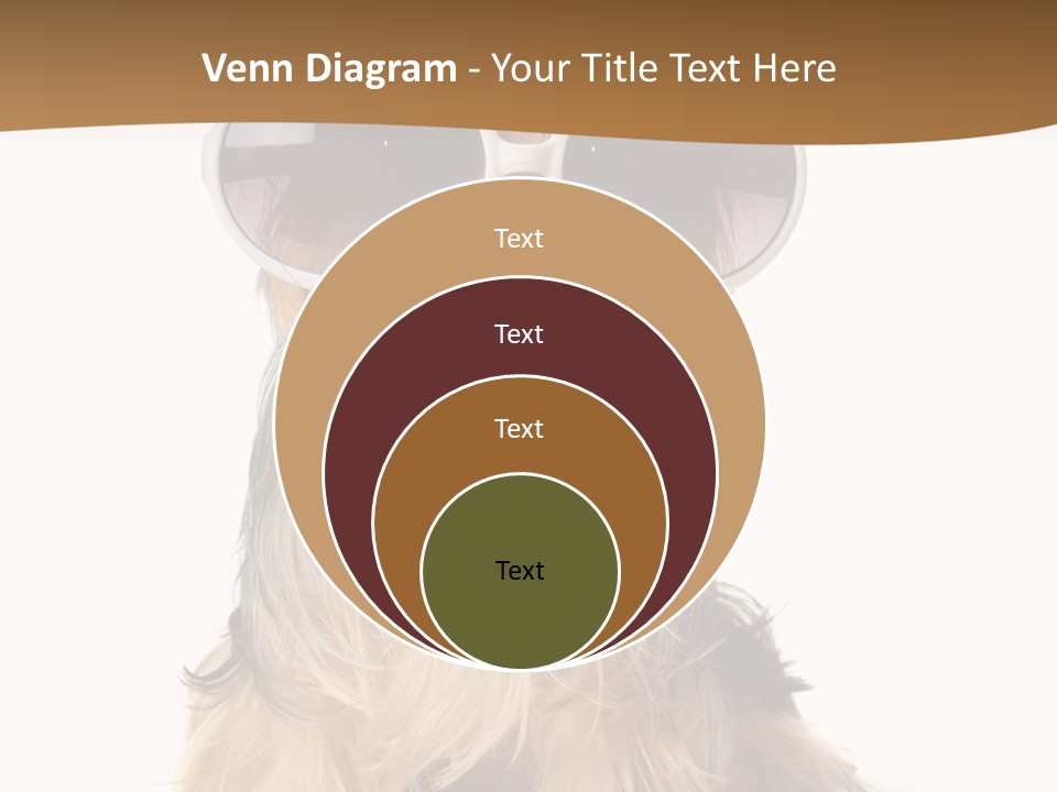 Close Up Nobody Dog PowerPoint Template