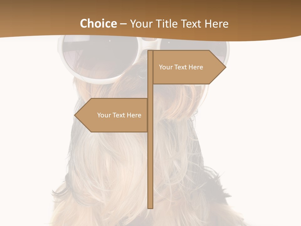 Close Up Nobody Dog PowerPoint Template