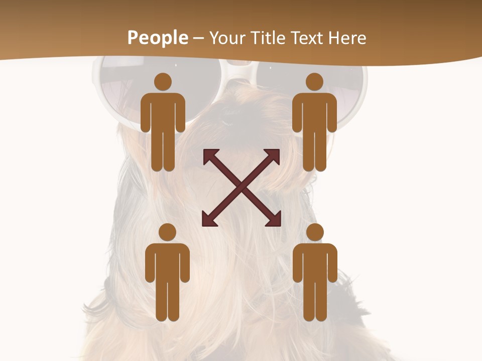 Close Up Nobody Dog PowerPoint Template
