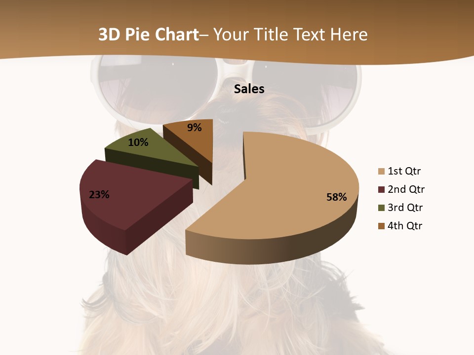 Close Up Nobody Dog PowerPoint Template