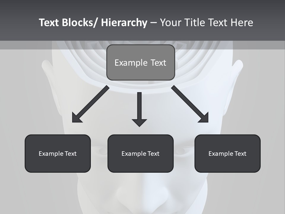 Head Memory Mind PowerPoint Template