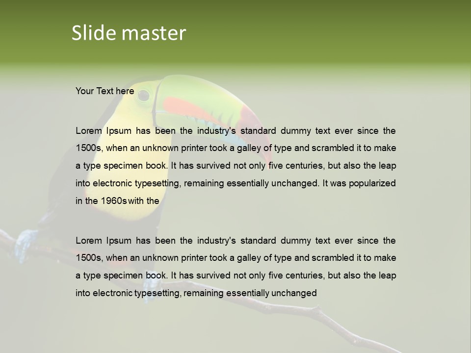 Billed Colorful Panama PowerPoint Template