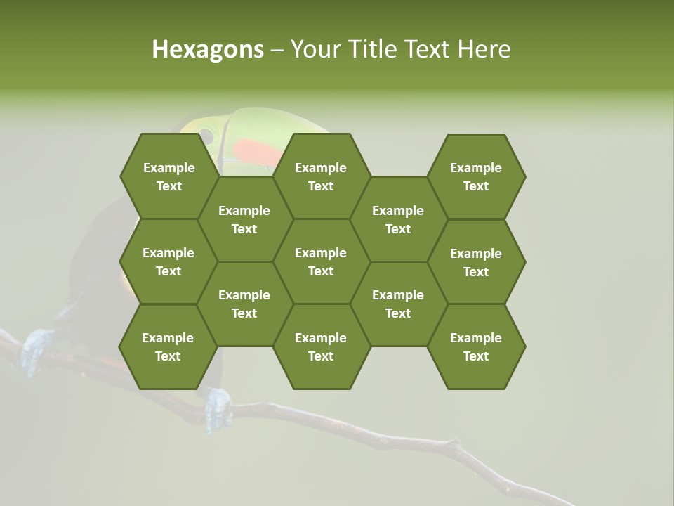 Billed Colorful Panama PowerPoint Template