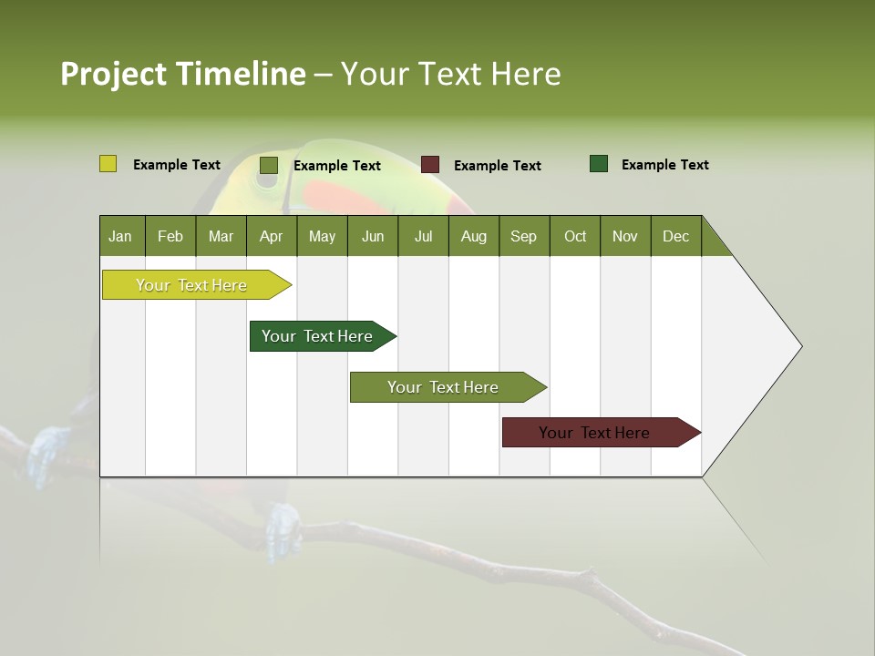 Billed Colorful Panama PowerPoint Template