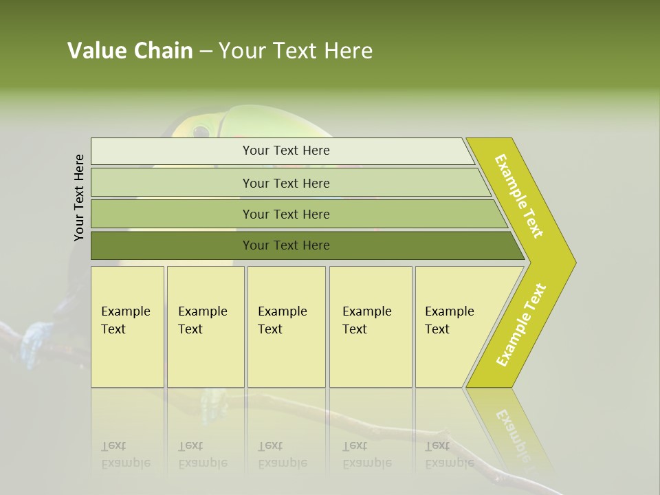 Billed Colorful Panama PowerPoint Template