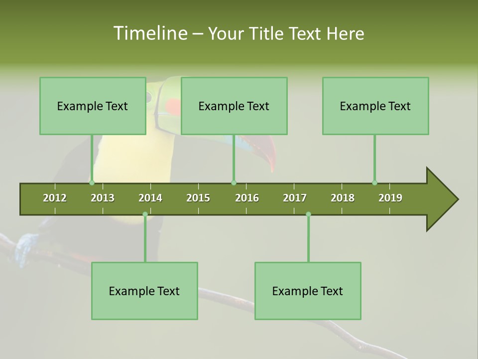 Billed Colorful Panama PowerPoint Template