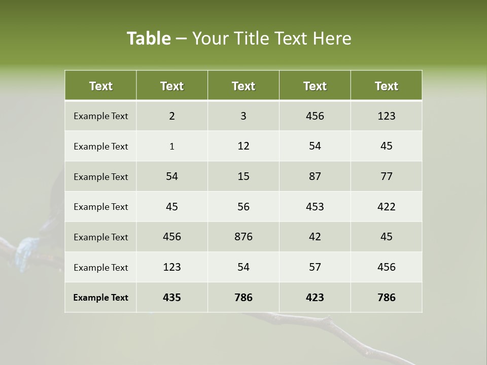 Billed Colorful Panama PowerPoint Template