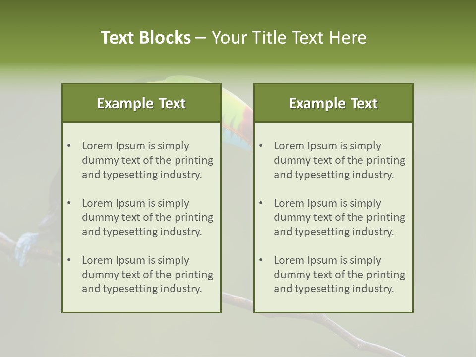 Billed Colorful Panama PowerPoint Template