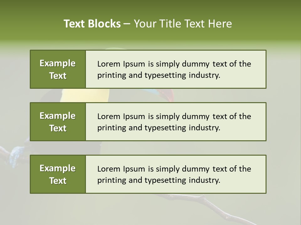 Billed Colorful Panama PowerPoint Template