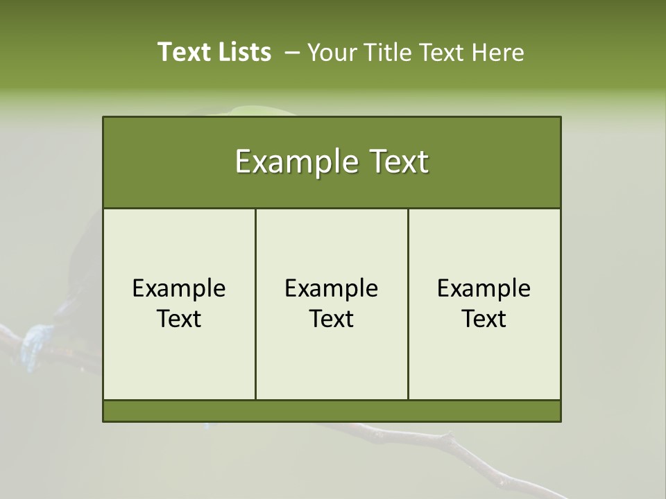 Billed Colorful Panama PowerPoint Template