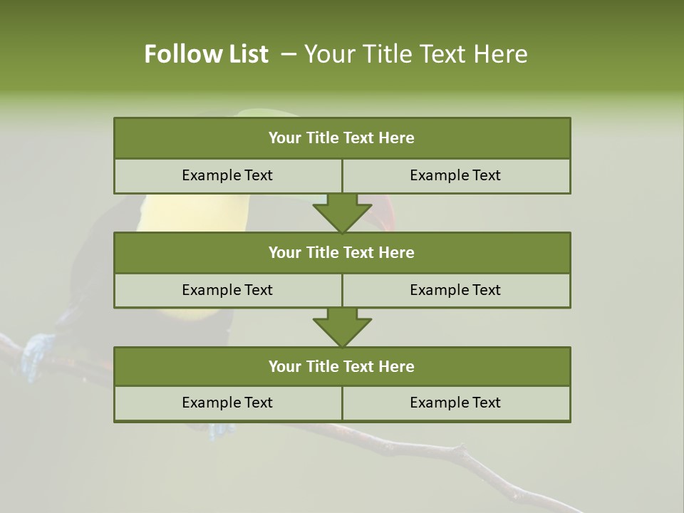 Billed Colorful Panama PowerPoint Template