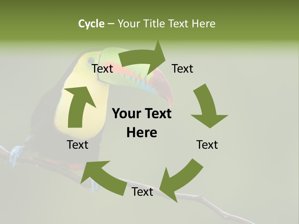 Billed Colorful Panama PowerPoint Template