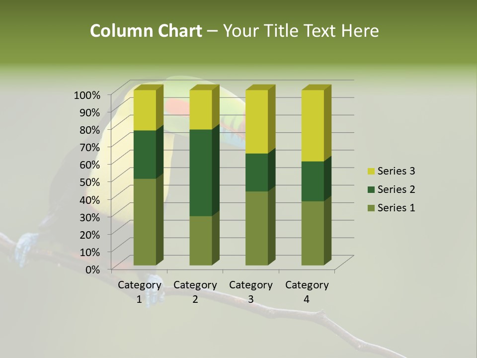 Billed Colorful Panama PowerPoint Template