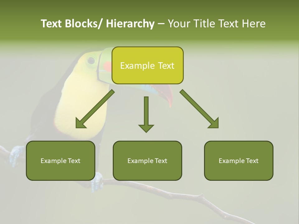 Billed Colorful Panama PowerPoint Template
