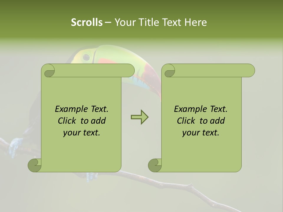 Billed Colorful Panama PowerPoint Template