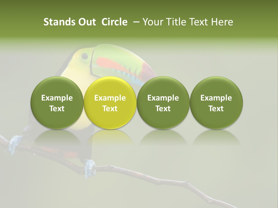 Billed Colorful Panama PowerPoint Template