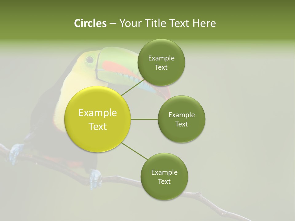 Billed Colorful Panama PowerPoint Template