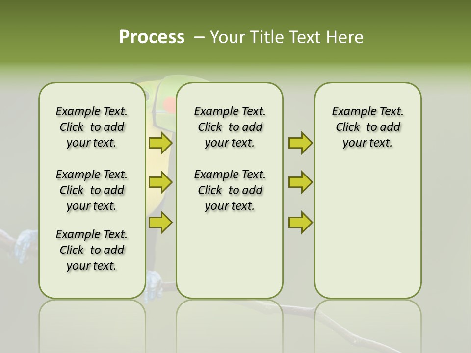 Billed Colorful Panama PowerPoint Template