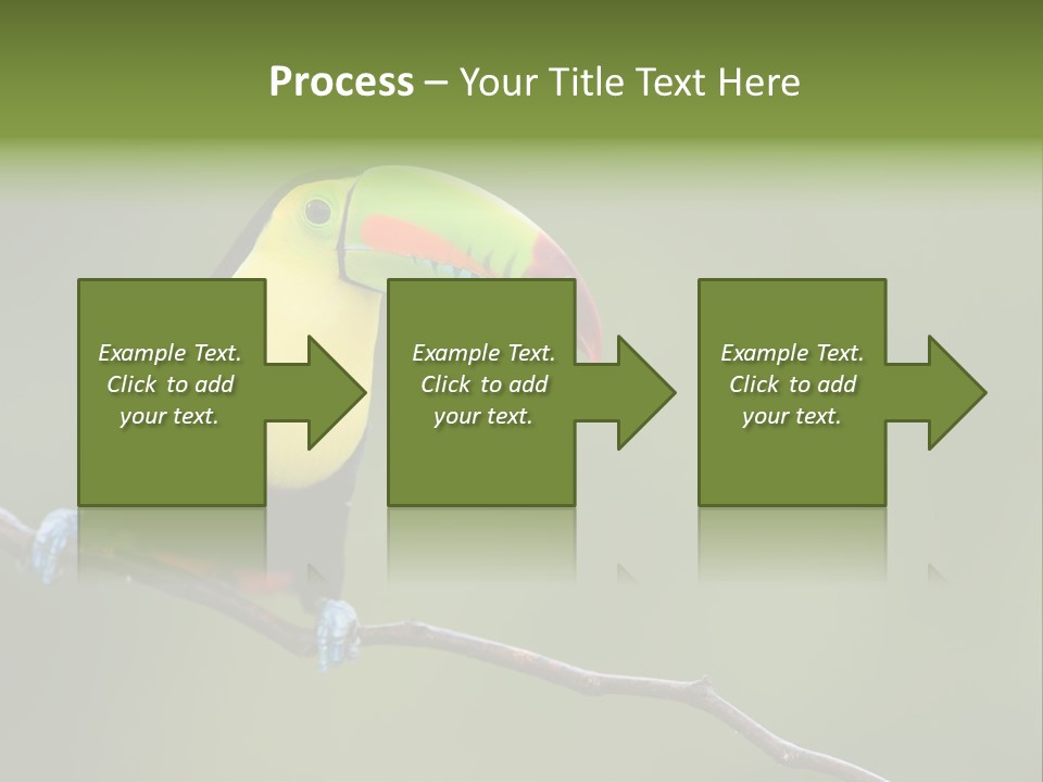 Billed Colorful Panama PowerPoint Template