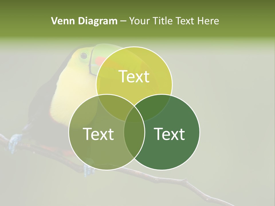 Billed Colorful Panama PowerPoint Template