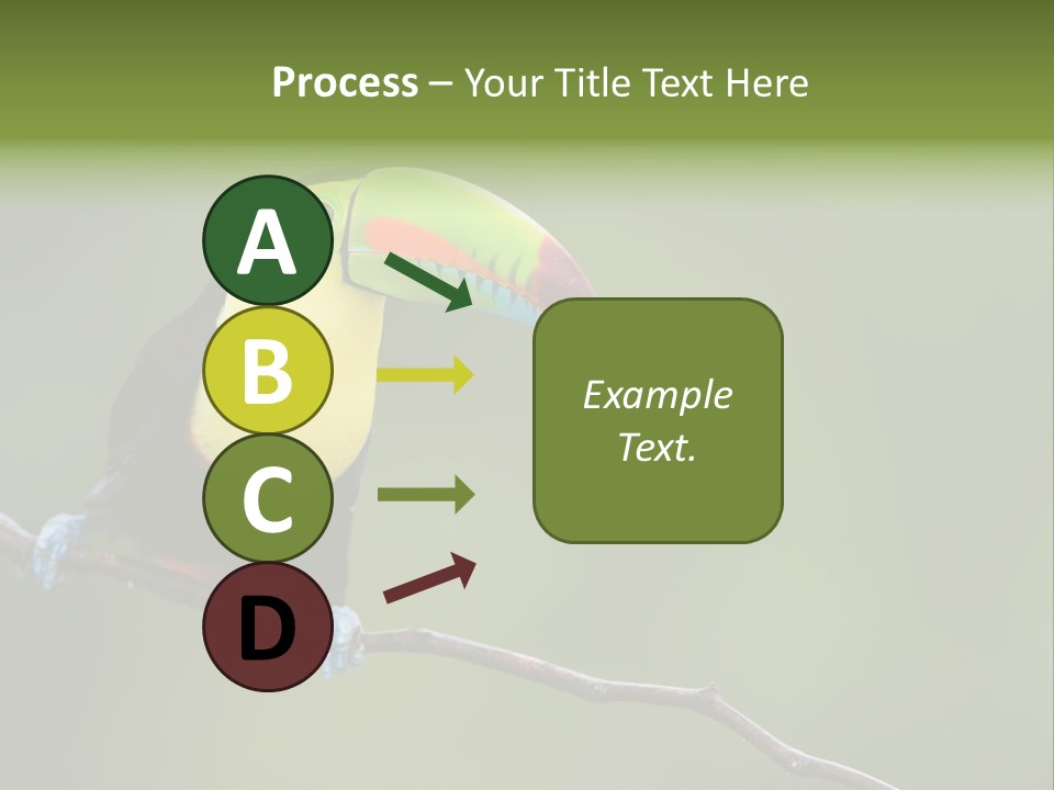 Billed Colorful Panama PowerPoint Template