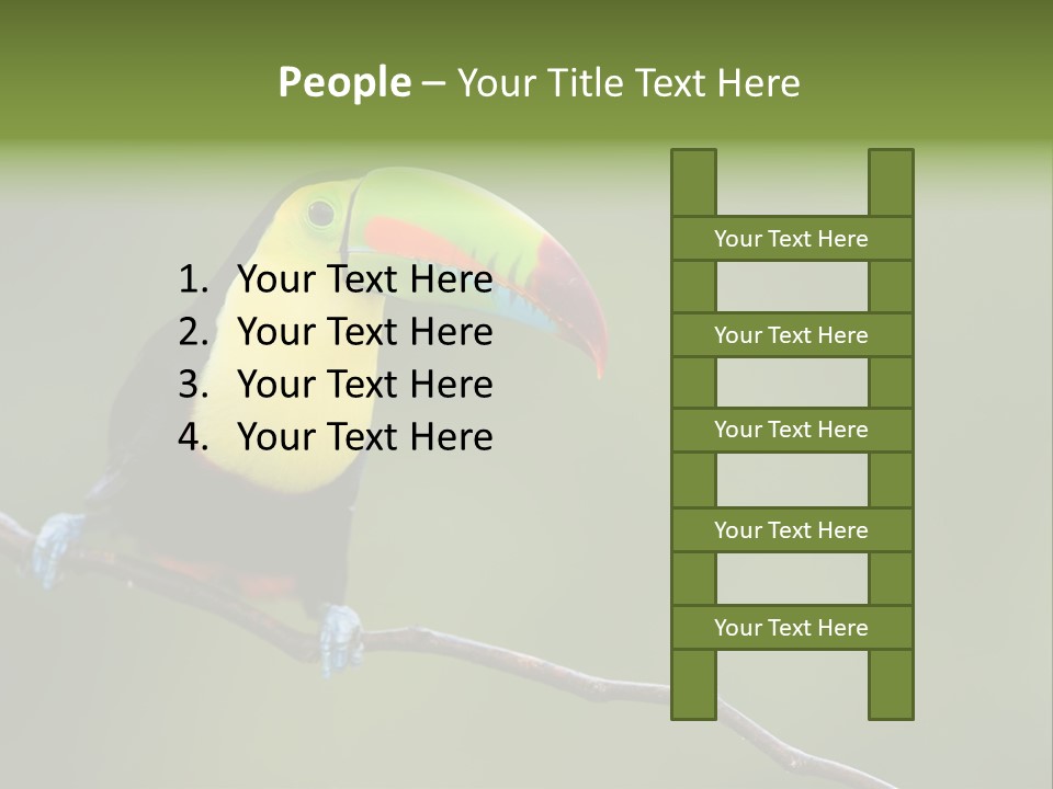 Billed Colorful Panama PowerPoint Template