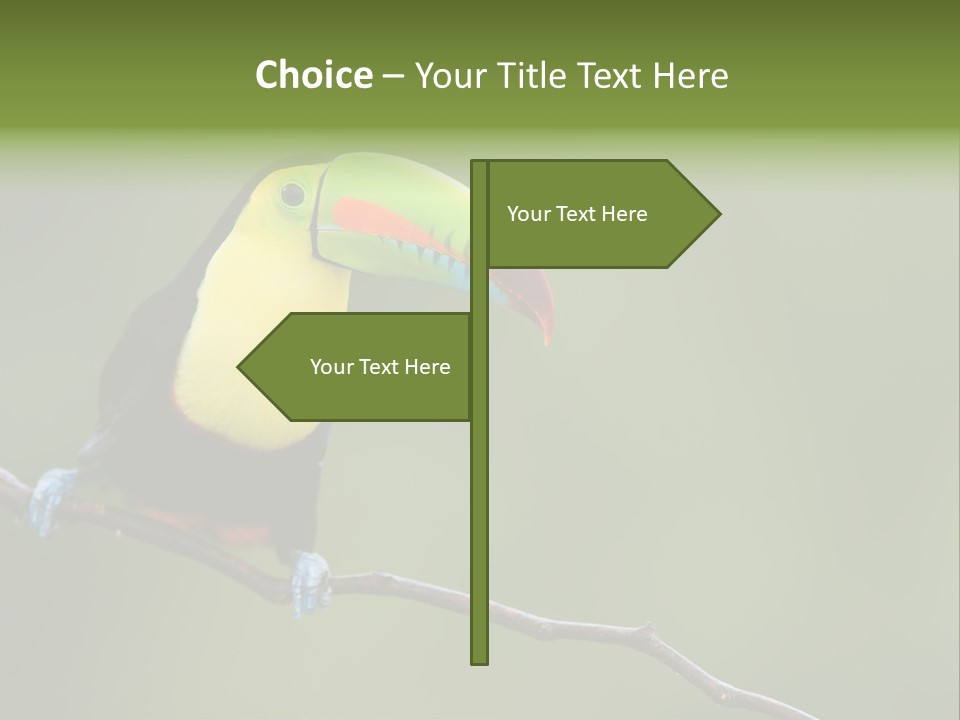 Billed Colorful Panama PowerPoint Template