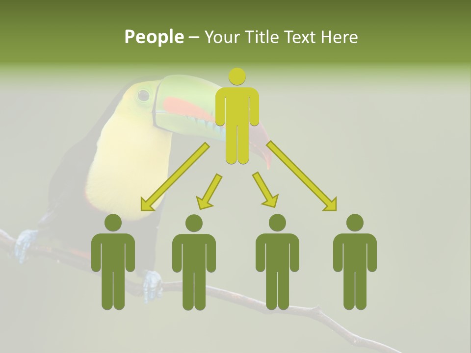 Billed Colorful Panama PowerPoint Template